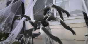 A giant fake spider jumping at people at Bar Harbor Scares